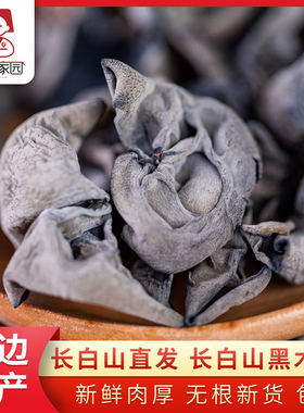 秀彬家园 长白山野生黑木耳干货 大朵秋木耳东北特产吉林小碗耳纯