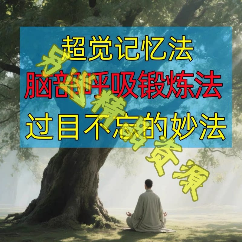 过目不忘修炼记忆力脑部呼吸锻炼法改造大脑健身气功养生训练方法