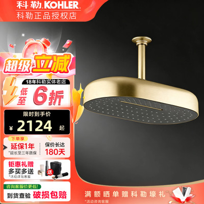 科勒水乐章摩登金41寸双功能头顶