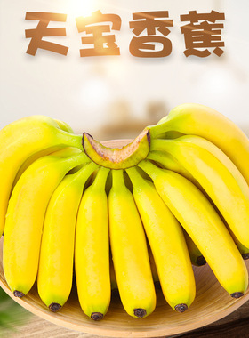 福建漳州天宝香蕉3/9斤新鲜香农家精品现摘发应季水果非红美人蕉