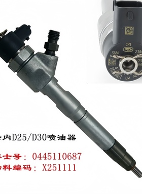云内德威D25D30喷油器江淮骏铃V6V5康铃J6H3喷油嘴总成X251111