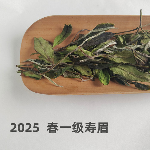 春寿眉福鼎管阳2025年一级春寿眉福鼎直发等级很高云中管阳十年店