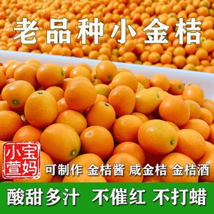 新鲜现摘酸甜孕妇水果麻嘴止ke金桔酱膏 广西老品种油皮小金桔当季