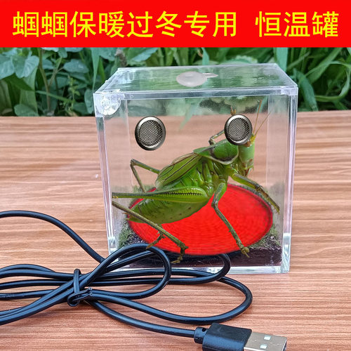 蝈蝈专用恒温罐鸣虫恒温盒发热罐保温造景生态箱宠物罐蝈蝈过冬