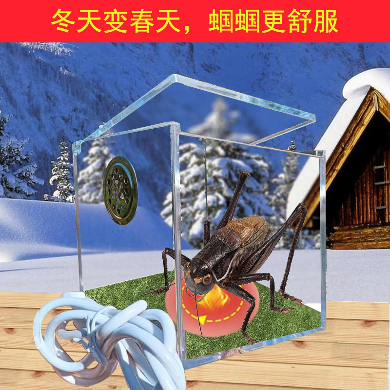 蝈蝈鸣虫专用全景生态饲养盒造景罐宠物发热保温箱透明透气定温