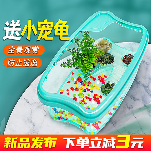 送2只小乌龟！家用造景龟缸