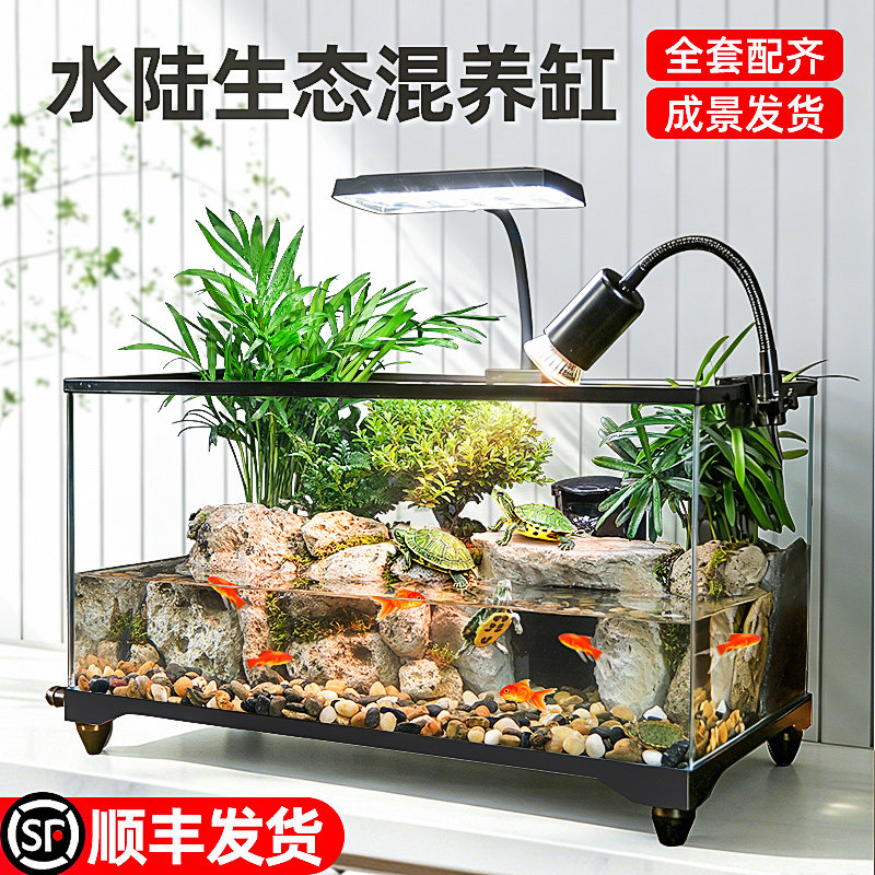 2026新款乌龟缸玻璃客厅家用养专用饲养箱晒爬台小型生态造景鱼缸