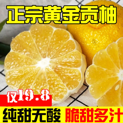 黄金贡柚纯甜无酸超值优惠