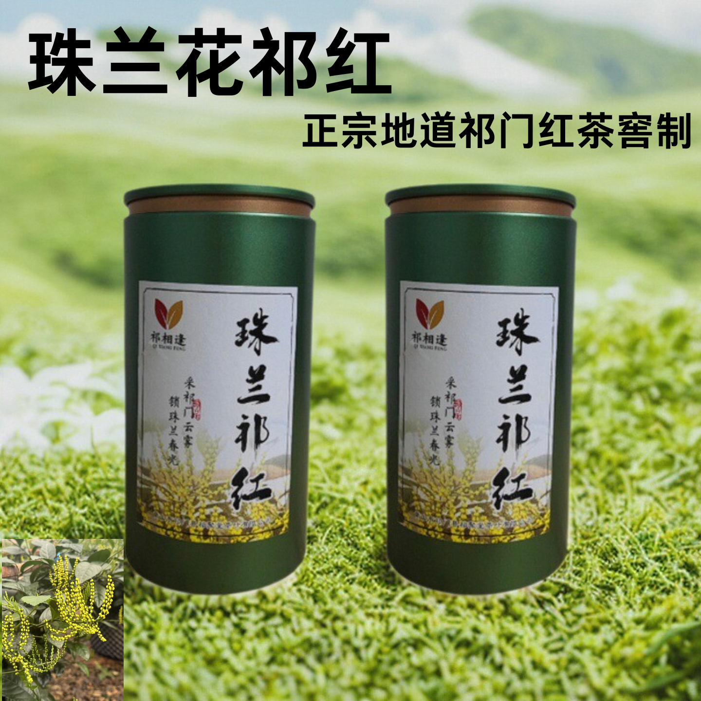 罐装珠兰祁红特级窖制茶特色花茶