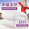 10 Xinjiang quilt with cotton wadding Cotton Nets The quilt core Cotton Miantai Mat Mattress thickening keep warm Winter quilt