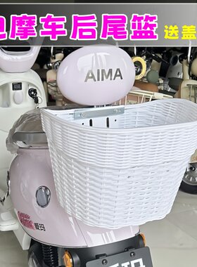 送加厚盖子电动车后尾篮恒驰美观