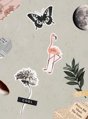 视频素材文艺复古法式拼贴报纸动植物抽象免抠动画MG137