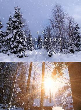 空镜实拍冬天下雪松树森林路灯雪山湖泊风雪4K/HD高清视频SV025