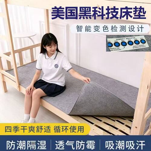 学生宿舍毛毡床垫吸湿防潮防霉垫