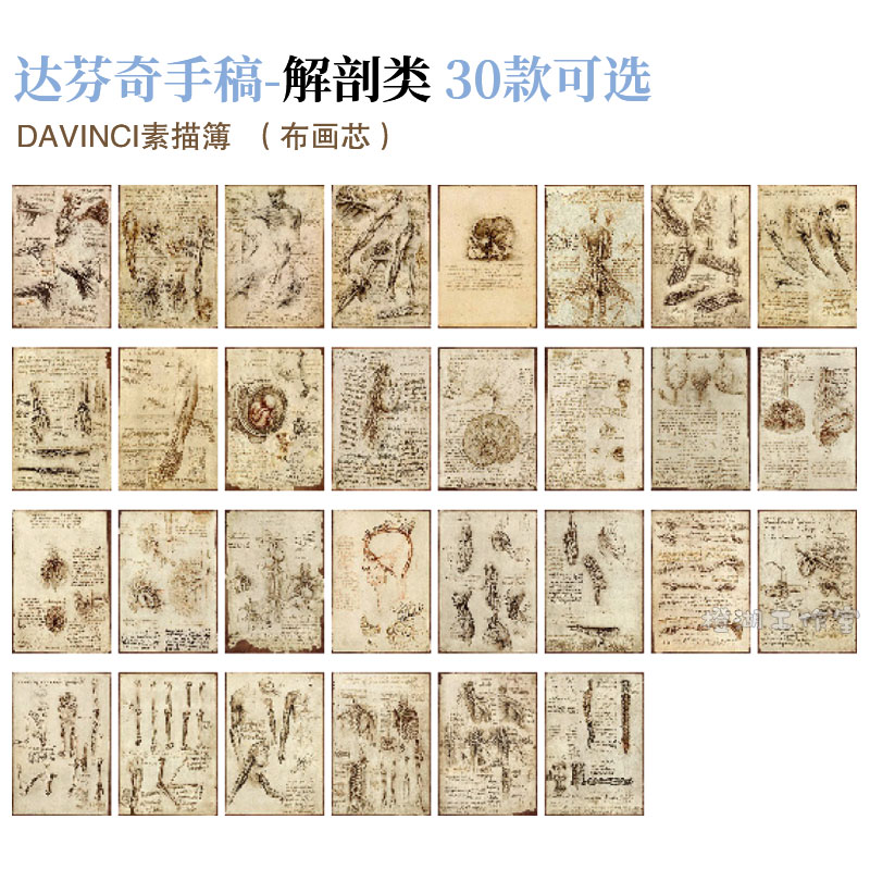 达芬奇手稿解剖孕育davinci装饰画