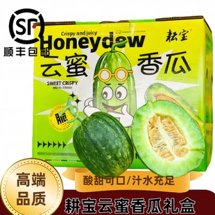 耕宝云蜜香瓜礼盒装新鲜水果香瓜顺丰