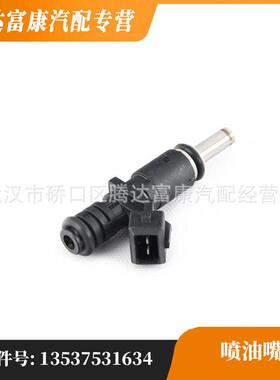适用于宝马5系/7系/1系/3系/6系/Z4 喷油嘴 13537531634