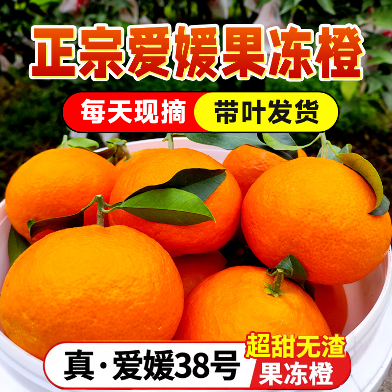 树上自然熟商超品质超甜爆汁