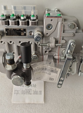 4P110玉柴喷油泵FA1000-1111100-493 南岳电控衡阳油泵B4PM907J1