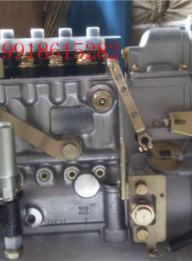 龙口龙泵 BP5189R/A5000高压油泵 玉柴YC6108ZLQB