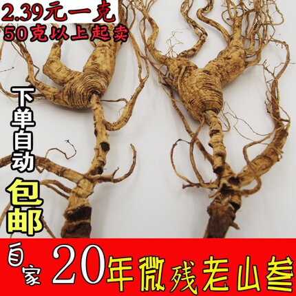 长白山野山参残肢东北人参林下参野生人参泡酒人参20年老山参包邮