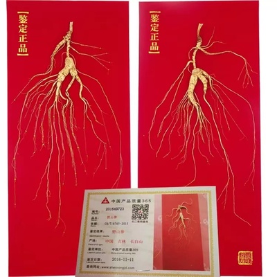 东北野山参20年以上林下特产