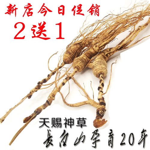 20年野山参礼盒林下参人参吉林