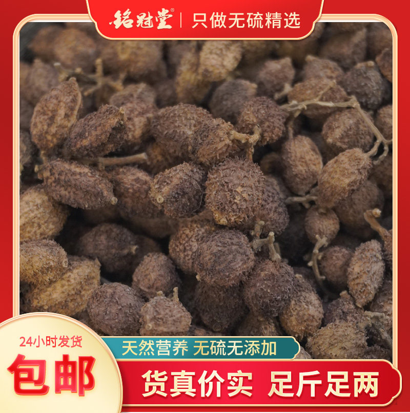 正宗阳春春砂仁黄苗仔