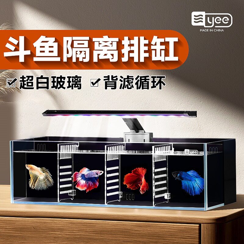 yee超白斗鱼缸玻璃多格隔离背滤免换水客厅小型生态泰国斗鱼排缸