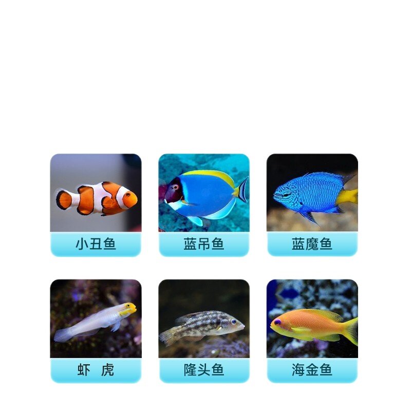 yee 小丑鱼饲料海水鱼鱼粮海鱼蓝吊鱼食小颗粒荤素吊类缓沉鱼饲料
