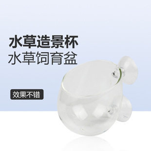 水草造景杯 培育杯培育盆 鱼缸水族箱迷你波尔卡型水草饲育造景盆