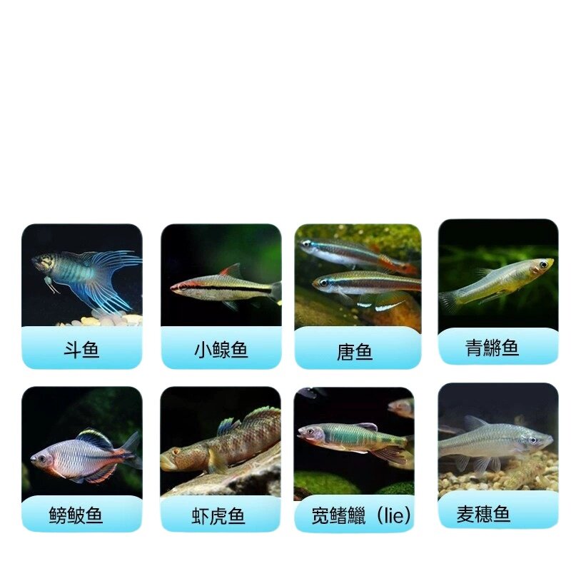 yee 鳑鲏鱼饲料观赏鱼原生鱼食小颗粒虾虎鱼青鳉溪流鱼小型鱼鱼粮