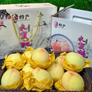 包邮 现摘只卖自家正宗宁波奉化水蜜桃玉露良方老品种桃顺丰江浙沪