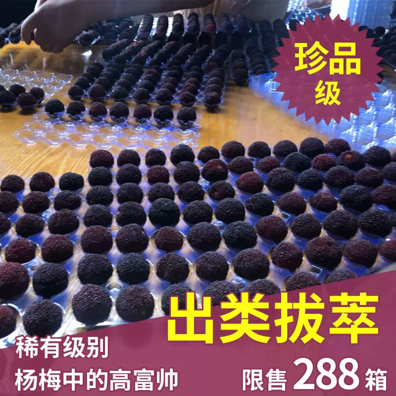 5斤装珍品级 新鲜杨梅鲜果宁波余姚慈溪高山荸荠黑炭浙江水果礼盒