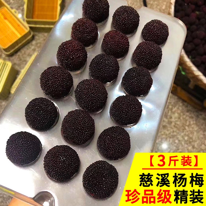 3斤装珍品级 新鲜杨梅特甜余姚慈溪荸荠黑炭杨梅水果现摘礼盒装
