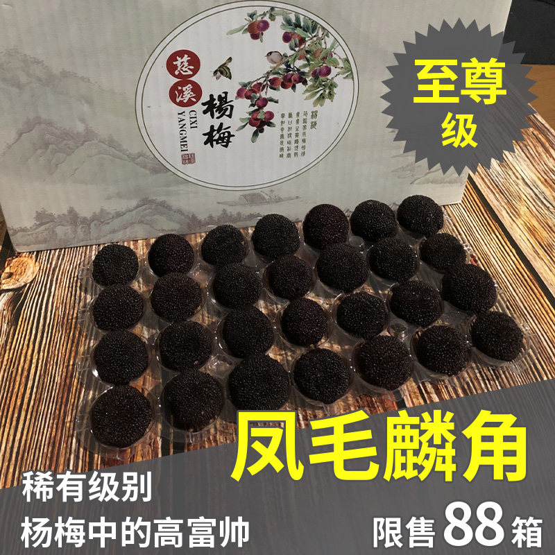 5斤装至尊级品质 新鲜杨梅特甜宁波余姚慈溪黑炭荸荠水果礼盒装