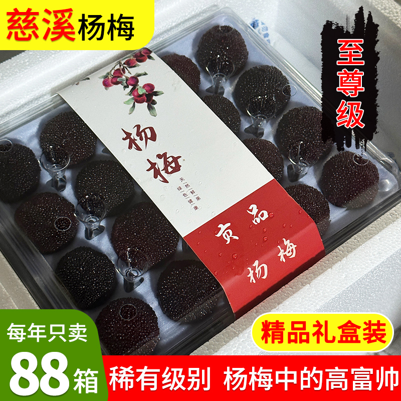 送领导送客户至尊级品质新鲜荸荠杨梅特甜宁波余姚慈溪鲜果礼盒装