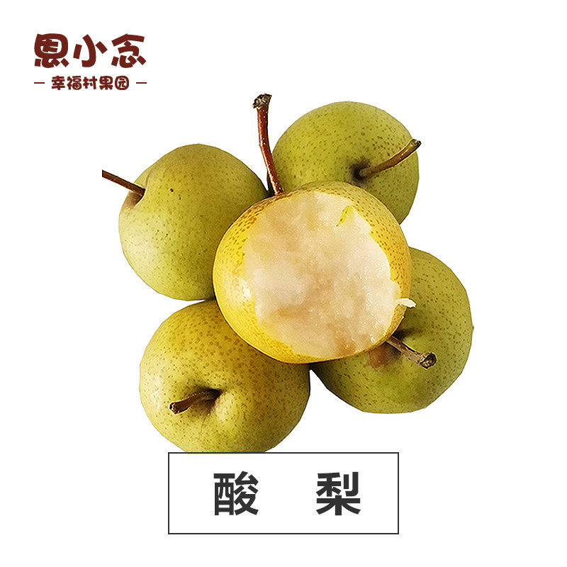 恩小念河北唐山新鲜酸梨安梨孕妇水果细皮多汁冻梨冰糖酸梨5斤