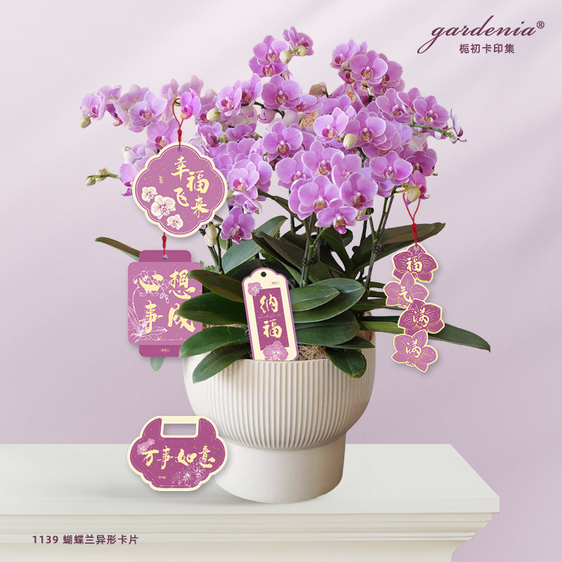 紫色异形蝴蝶兰小吊牌定制福气满满祝福吊卡年宵花盆栽装饰挂件图片