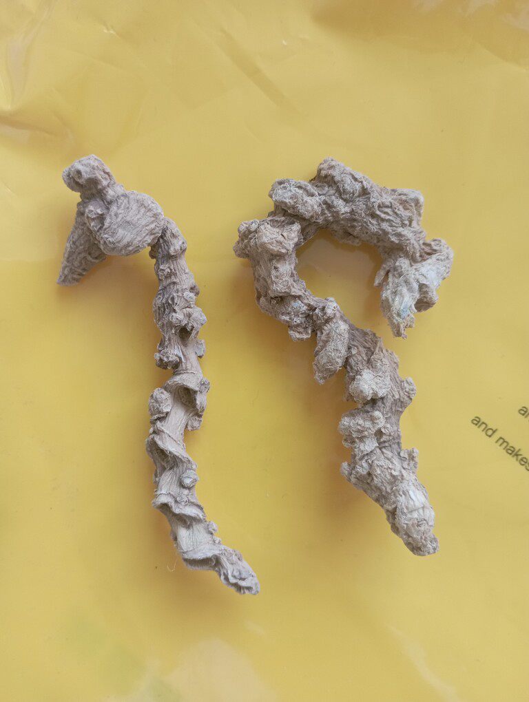 竹节参100克仿野生林下种植湖北恩施土家族苗族地方特产白三七