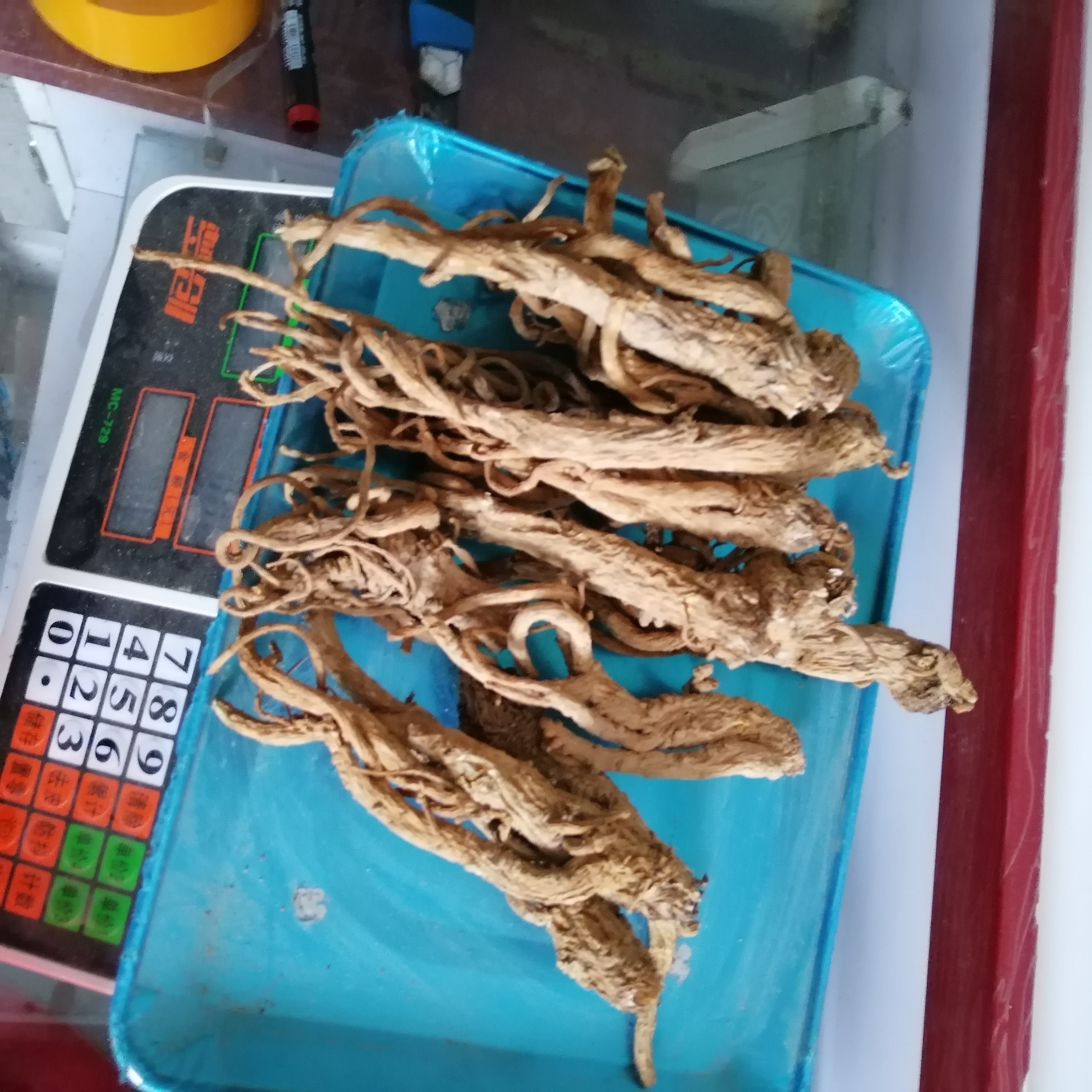 一斤石窑当归纯干无硫水洗当归药食同源药材恩施特产补身体煲汤