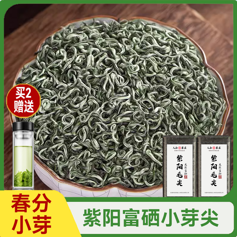 2024新茶春分紫阳毛尖小芽尖500g