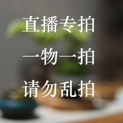 一物一拍造型盆景精品盆栽
