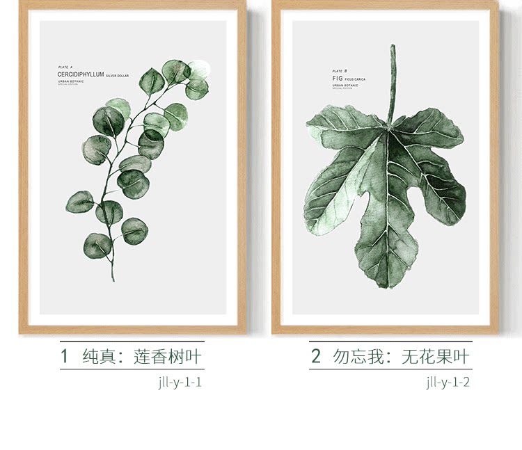 北欧现代简约小清新植物水彩绿植叶子装饰画画芯龟背竹虎皮兰画心