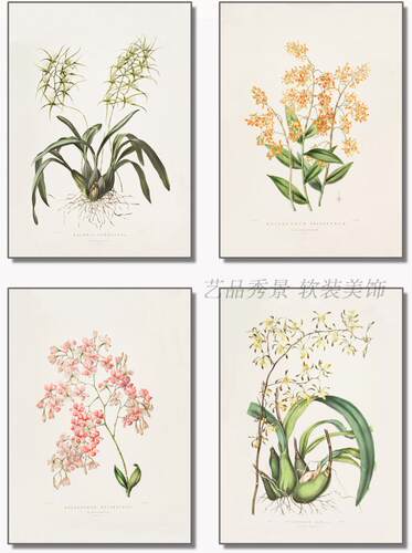 美式风手绘植物花卉进口装饰画