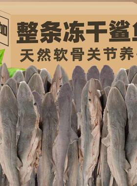 猫咪零食冻干小鲨鱼肉干鲨鱼软骨素宠物磨牙棒鲨鱼皮干货猫咪冻干