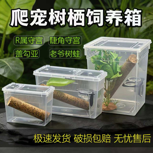 睫角守宫专用饲养箱树栖盒姥爷树蛙爬宠缸生态造景蜥蜴螳螂养殖盒