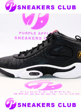 Reebok Answer 3 2009Re 黑白 答案3 季后赛 艾弗森3 4-J05037