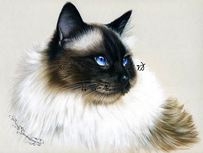HAEIAG 1250 My Darling 猫 法国DMC十字绣自配套件 25CT 一股绣