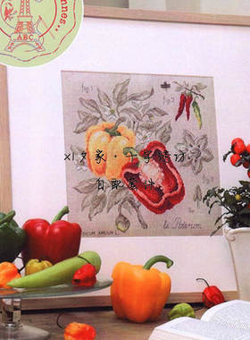 欧美风杂志 法国正品DMC十字绣自配套件 DFEA阴影花-彩椒